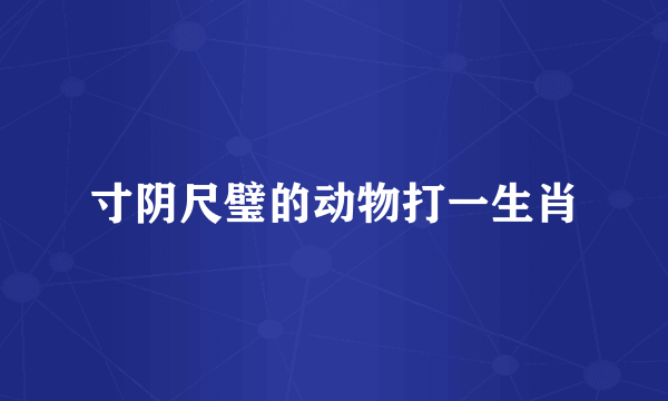 寸阴尺璧的动物打一生肖