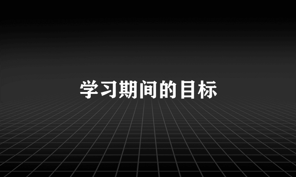 学习期间的目标