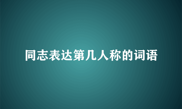同志表达第几人称的词语