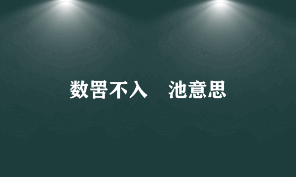 数罟不入洿池意思