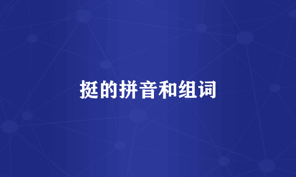 挺的拼音和组词