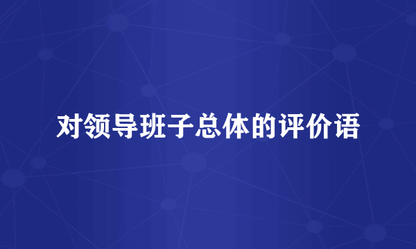 对领导班子总体的评价语
