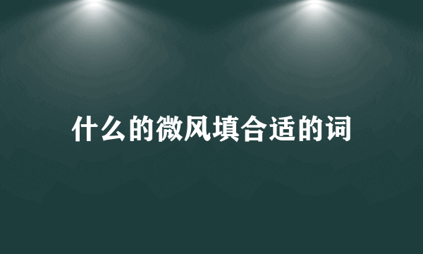 什么的微风填合适的词