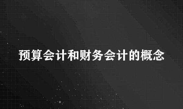 预算会计和财务会计的概念