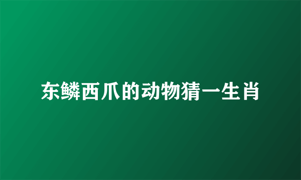 东鳞西爪的动物猜一生肖