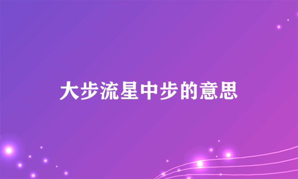 大步流星中步的意思