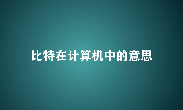 比特在计算机中的意思
