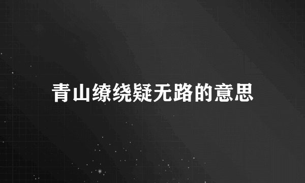 青山缭绕疑无路的意思