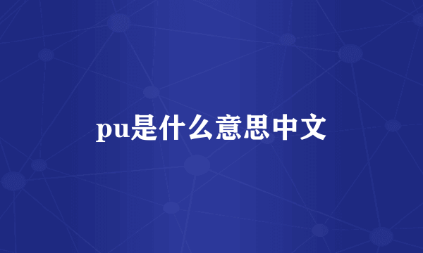 pu是什么意思中文