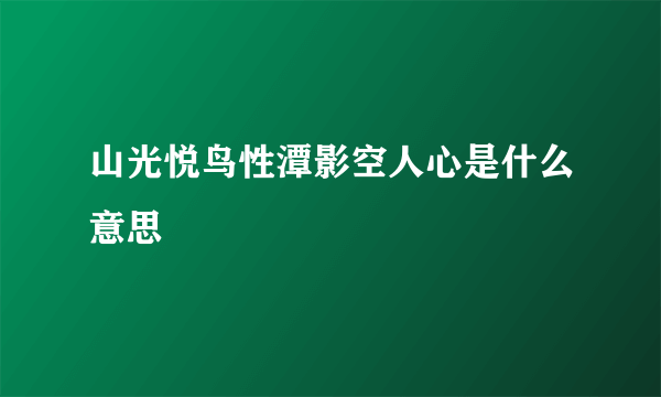 山光悦鸟性潭影空人心是什么意思