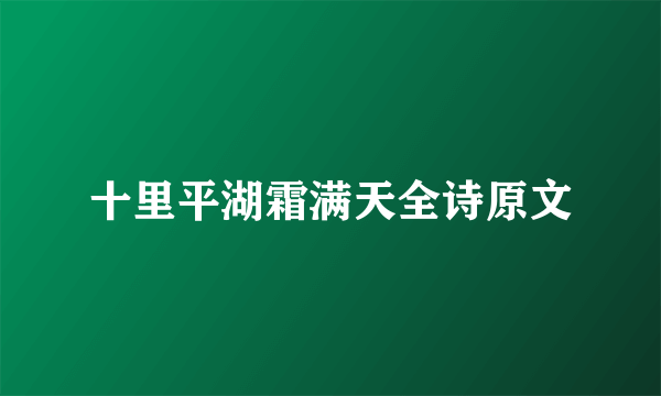 十里平湖霜满天全诗原文