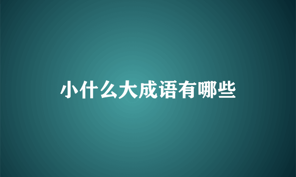 小什么大成语有哪些