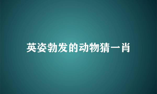 英姿勃发的动物猜一肖
