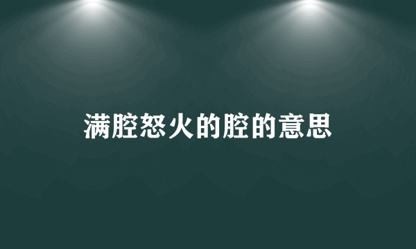 满腔怒火的腔的意思