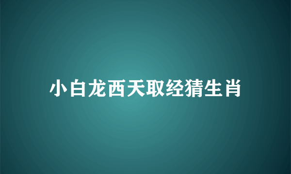 小白龙西天取经猜生肖