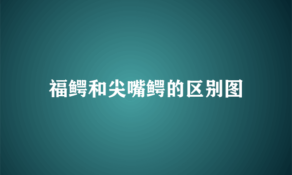 福鳄和尖嘴鳄的区别图