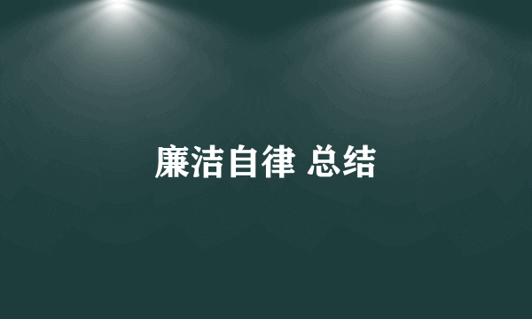 廉洁自律 总结