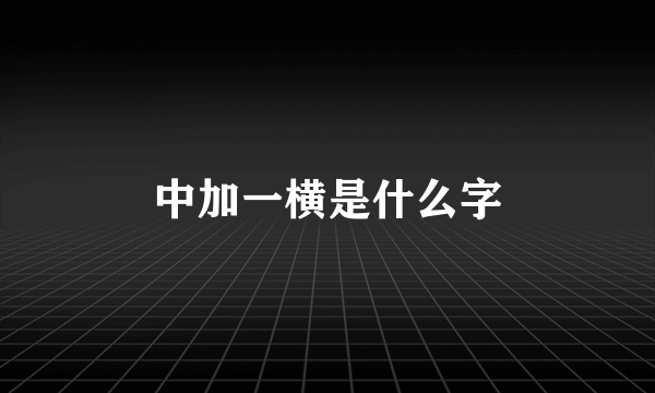 中加一横是什么字