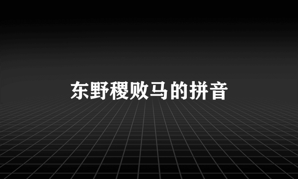 东野稷败马的拼音