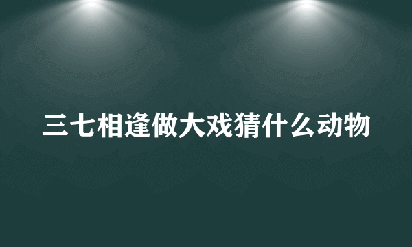 三七相逢做大戏猜什么动物