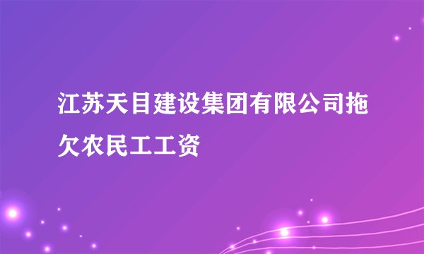江苏天目建设集团有限公司拖欠农民工工资