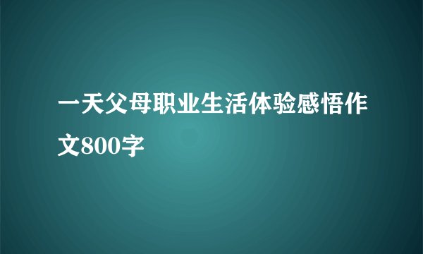 一天父母职业生活体验感悟作文800字