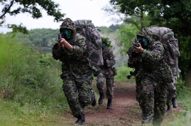 如何评价小说《抗战之特战兵王》？