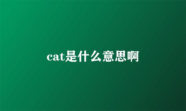 cat是什么意思啊