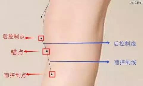PS里用钢笔怎么抠图的步骤是