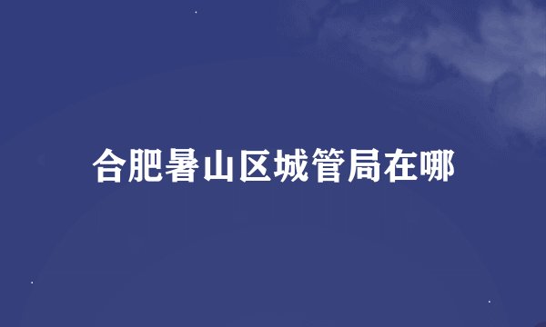 合肥暑山区城管局在哪