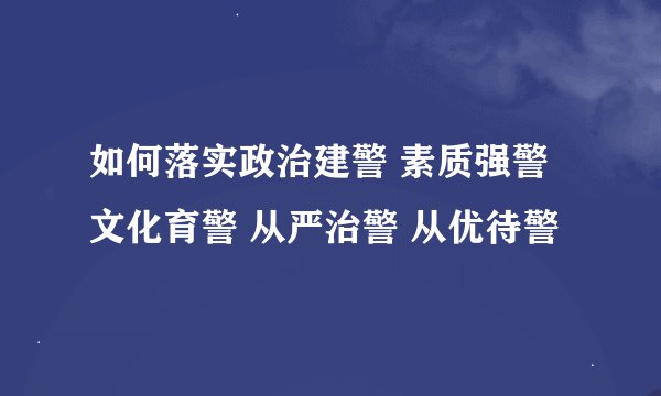 如何落实政治建警 素质强警 文化育警 从严治警 从优待警