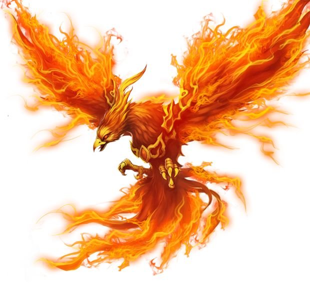 朱雀，凤凰和不死鸟这三个有什么区别？