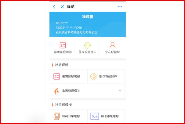 怎么用支付宝查看自己社保缴纳情况