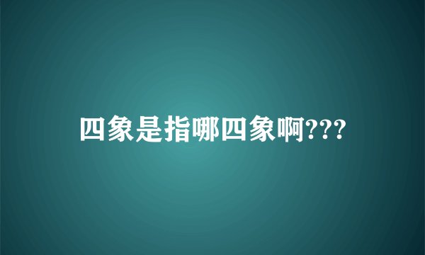 四象是指哪四象啊???