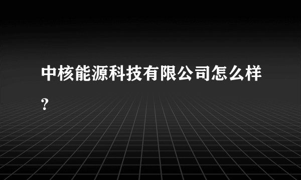 中核能源科技有限公司怎么样？