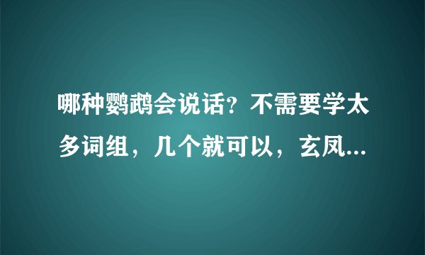 哪种鹦鹉会说话？不需要学太多词组，几个就可以，玄凤鹦鹉可以说话吗？