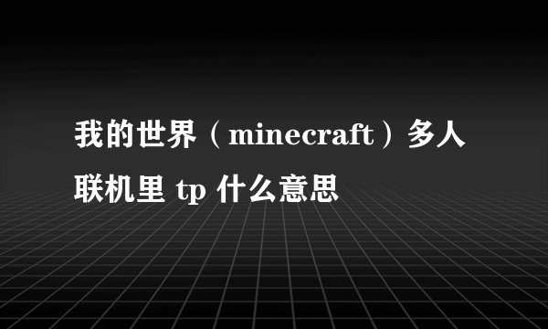 我的世界（minecraft）多人联机里 tp 什么意思