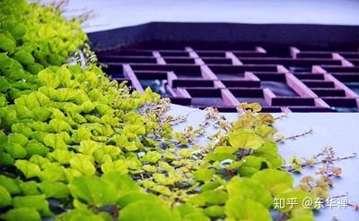 喜欢是什么？爱是什么？