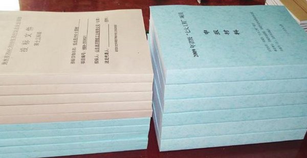 电子标书到底是什么意思，有专业的人士解答一下？