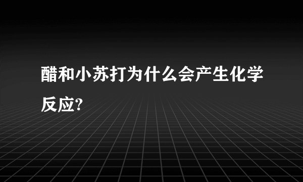 醋和小苏打为什么会产生化学反应?