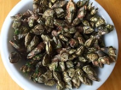 佛手螺怎么个吃啊？？？肉在哪里啊？？？是和那个爪一起吃吗？