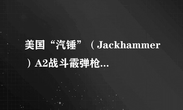 美国“汽锤”（Jackhammer）A2战斗霰弹枪有什么独特之处？