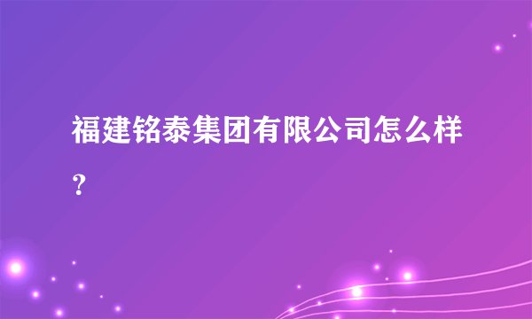 福建铭泰集团有限公司怎么样？