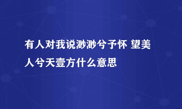 有人对我说渺渺兮予怀 望美人兮天壹方什么意思
