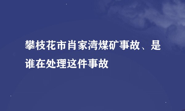 攀枝花市肖家湾煤矿事故、是谁在处理这件事故
