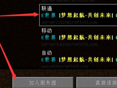 我的世界怎么用IP