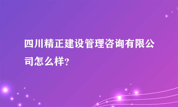 四川精正建设管理咨询有限公司怎么样？