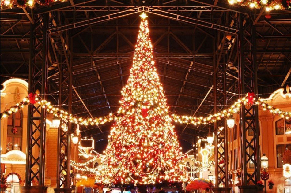 圣诞节用英语怎么读