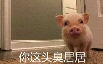 男生叫女生臭居居是啥意思？