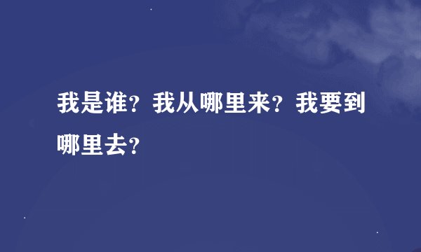 我是谁？我从哪里来？我要到哪里去？